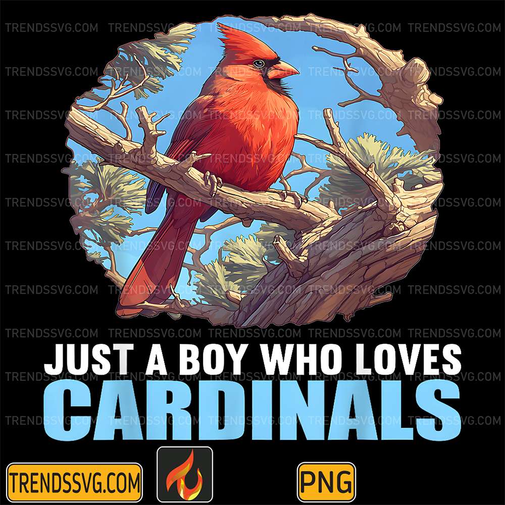 Just-A-Boy-Who-Loves-Cardinals-Bird-Png