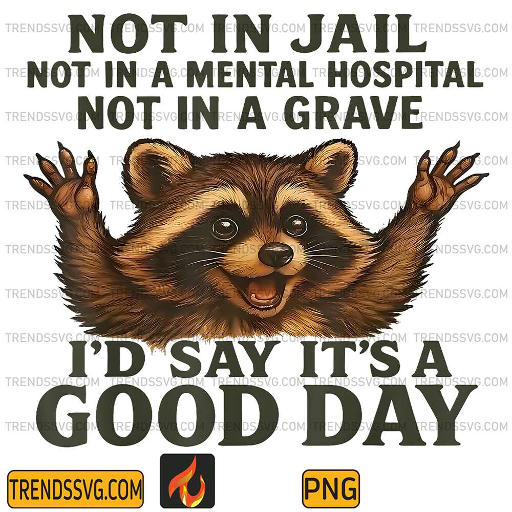 Not-in-Jail-Not-in-A-Mental-Hospital-Not-in-A-Grave-Raccoon-Png