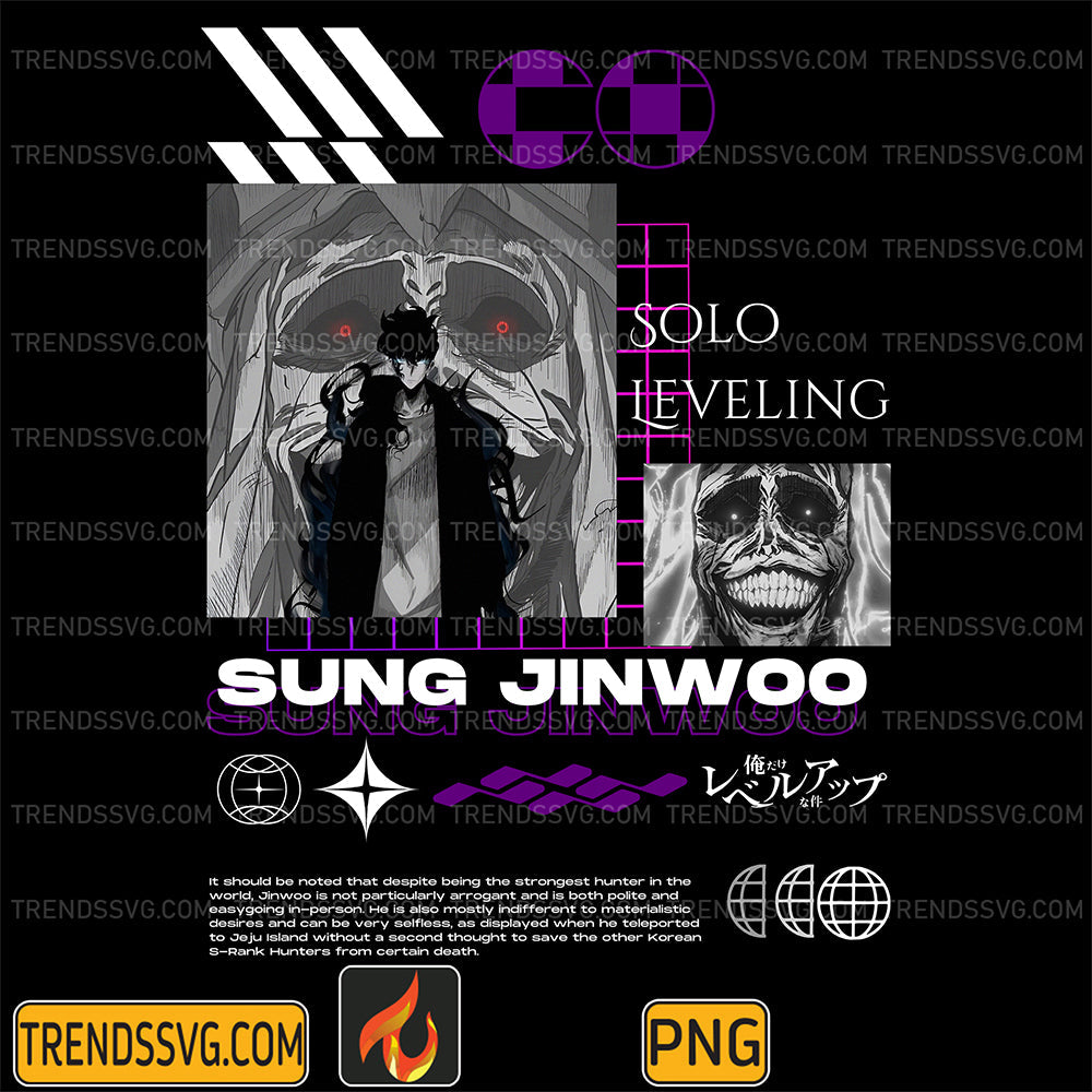 SoloLevelingSungJinWooPng20