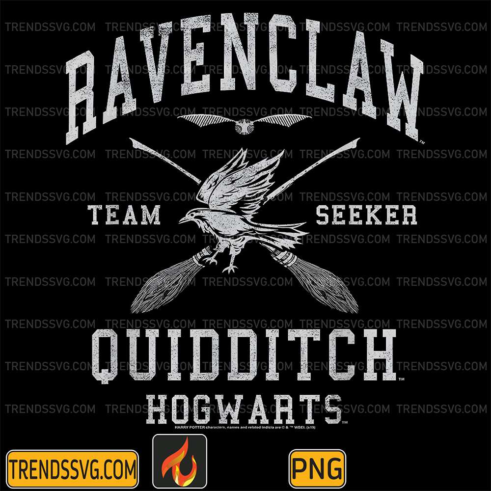 harry-potter-ravenclaw-quidditch-team-seeker-hogwarts-png
