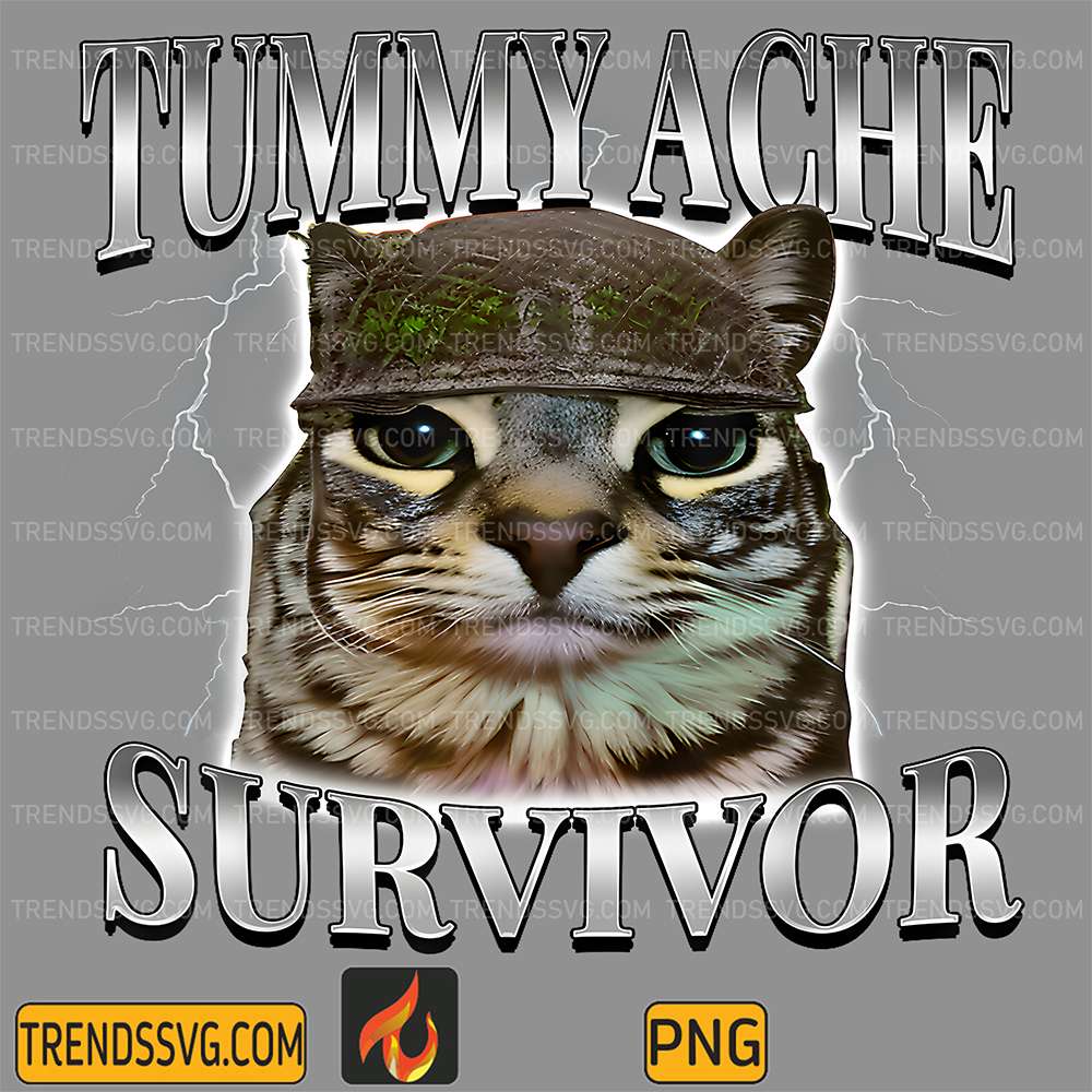 tummy-ache-survivor-cat-meme-png