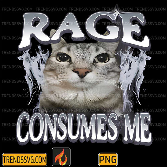 Cat-Rage-Consumes-Me-Png