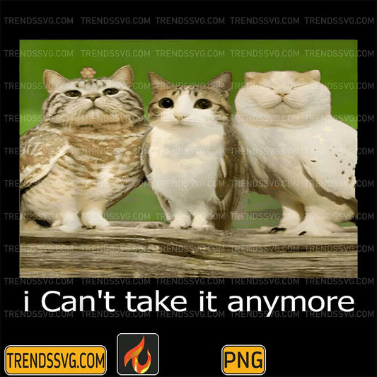 Cats-I-Can-t-Take-It-Anymore-Png