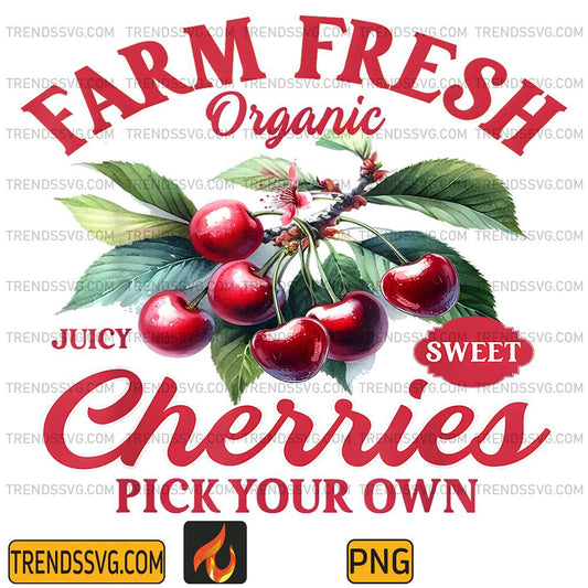 Farm-Fresh-Organic-Cherries-Pick-Your-Own-Png