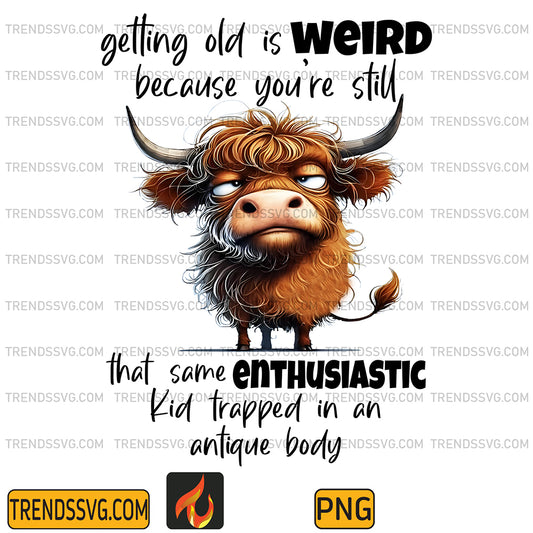 FunnyGettingOldIsWeirdBecauseYou_reStillThatSameEnthusiasticKidTrappedInAnAntiqueBodyPng