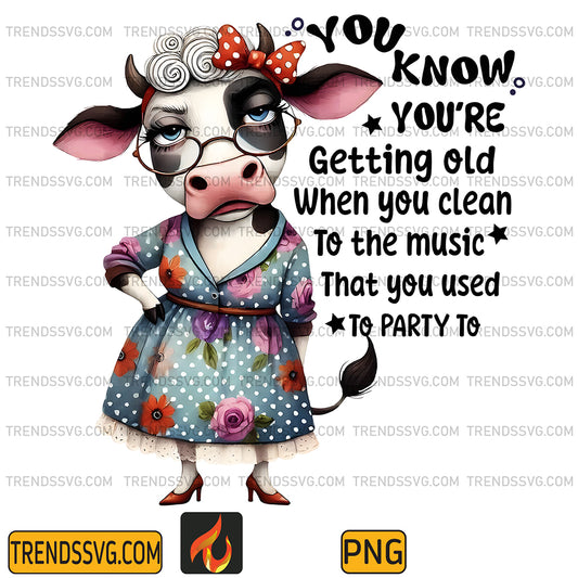 FunnyYouKnowYou_reGettingOldWhenYouCleanToTheMusicThatYouUsedToPartyToPng_1