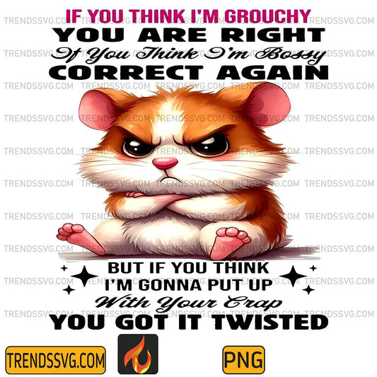 Hamster-If-You-Think-I-m-Grouchy-You-Are-Right-It-You-Think-I-m-Bossy-Correct-Again-Png
