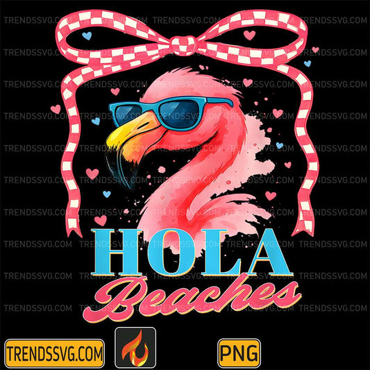 Hola-Beaches-Flamingo-Coquette-Summer-Beach-Vibes-Png