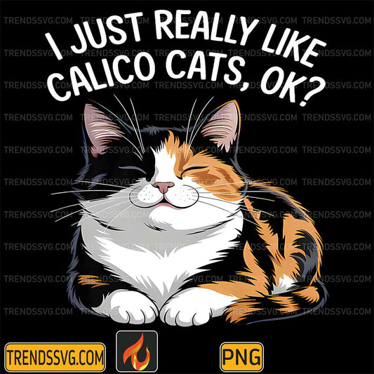 I-Just-Really-Like-Calico-Cats-Ok-Png