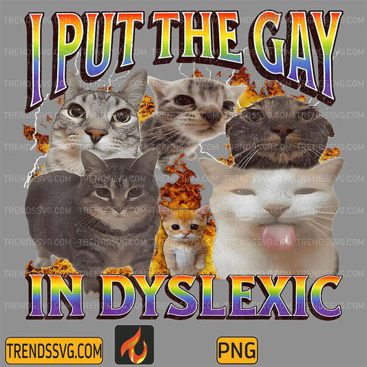 I-Put-The-Gay-In-Dyslexic-Funny-Cat-Meme-Png