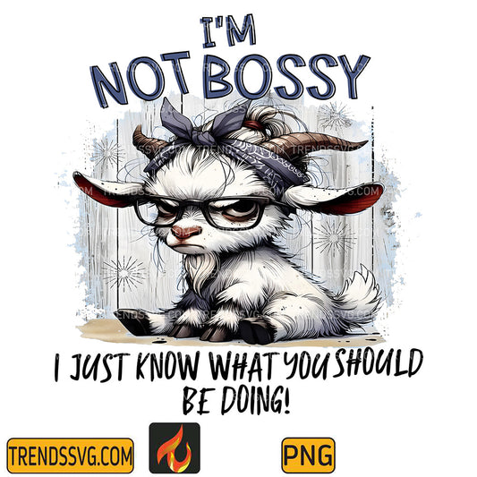 I_mNotBossyIJustKnowWhatYouShouldBeDoingPng_1