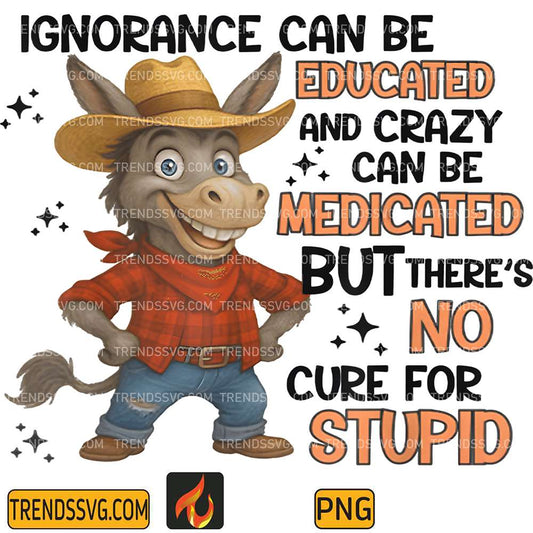 Ignorance-Can-Be-Educated-And-Crazy-Can-Be-Medicated-But-There-s-No-Cure-For-Stupid-Donkey-Png