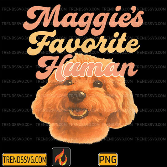 Maggies-Favorite-Human-Miniature-Apricot-Poodle-Cute-Png