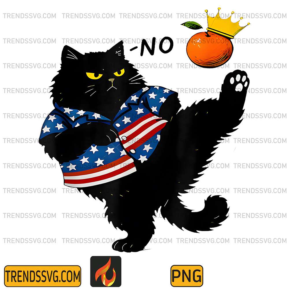 No-Kings-In-America-Black-Cat-Kicking-Orange-Png