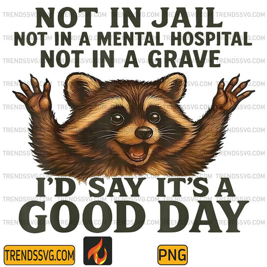 Not-in-Jail-Not-in-A-Mental-Hospital-Not-in-A-Grave-Raccoon-Png