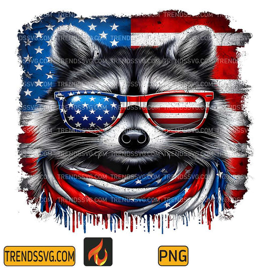 Raccoon-4th-Of-July-USA-American-Flag-Patriotic-Png