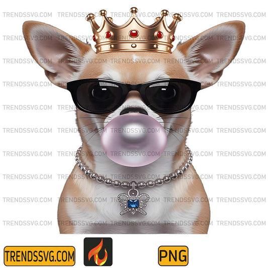 Royal-Chihuahua-Png