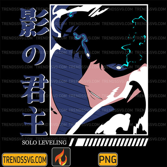 SoloLevelingSungJinWooPng10
