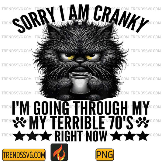 Sorry-I-m-Cranky-I-m-Going-Through-My-Terrible-70-s-Right-Now-Black-Cat-Png