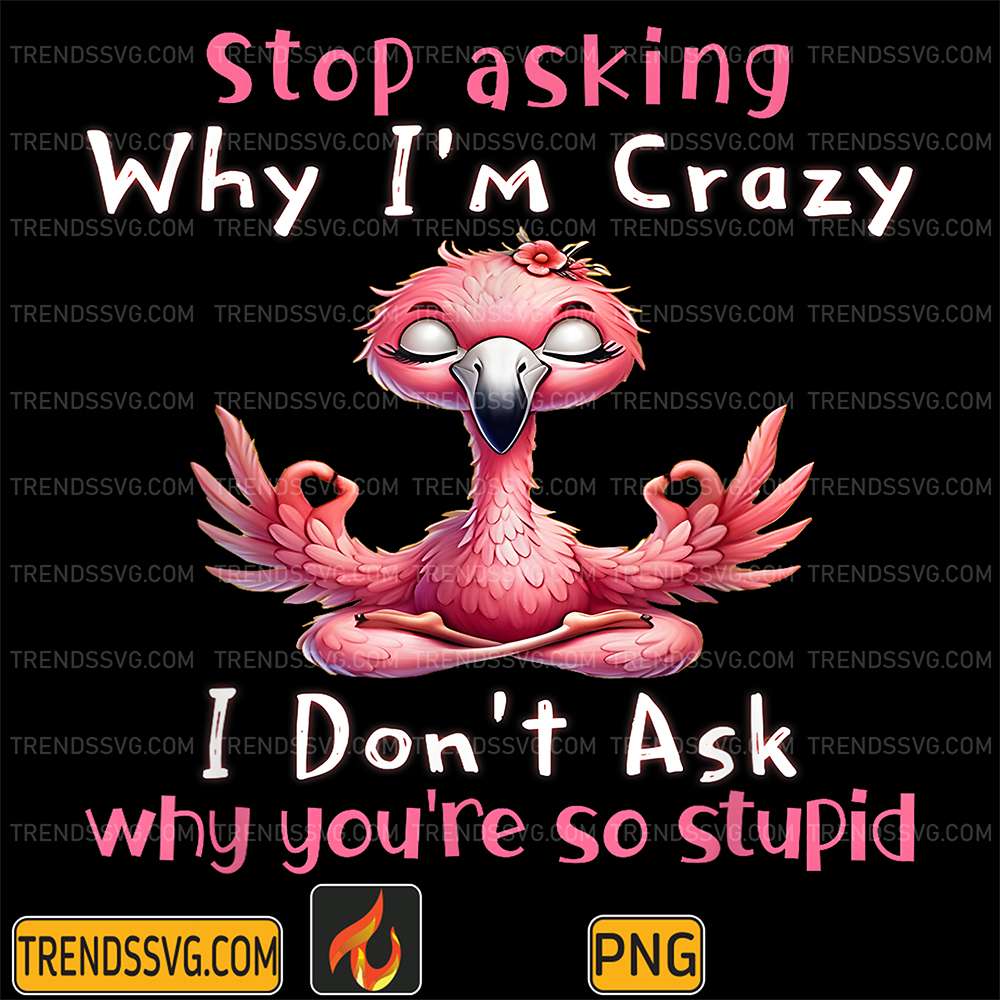 Stop Asking Why I'm Crazy I Don't Ask Why You're So Stupid Flamingo Lovers Png TRENDSSVG
