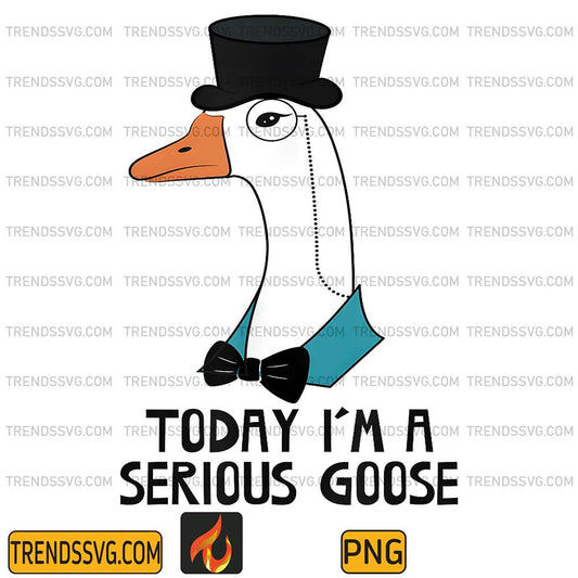 Today-I-m-A-Serious-Goose-Png