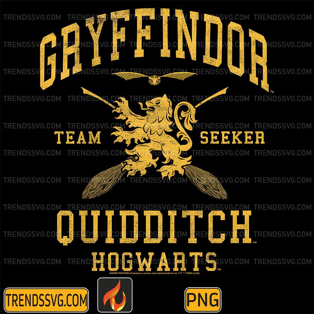 harry-potter-gryffindor-quidditch-team-seeker-hogwarts-png
