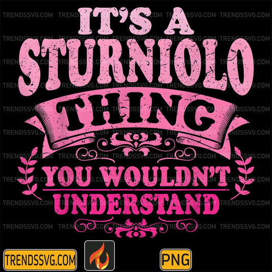 its-a-sturniolo-thing-you-wouldnt-understand-png
