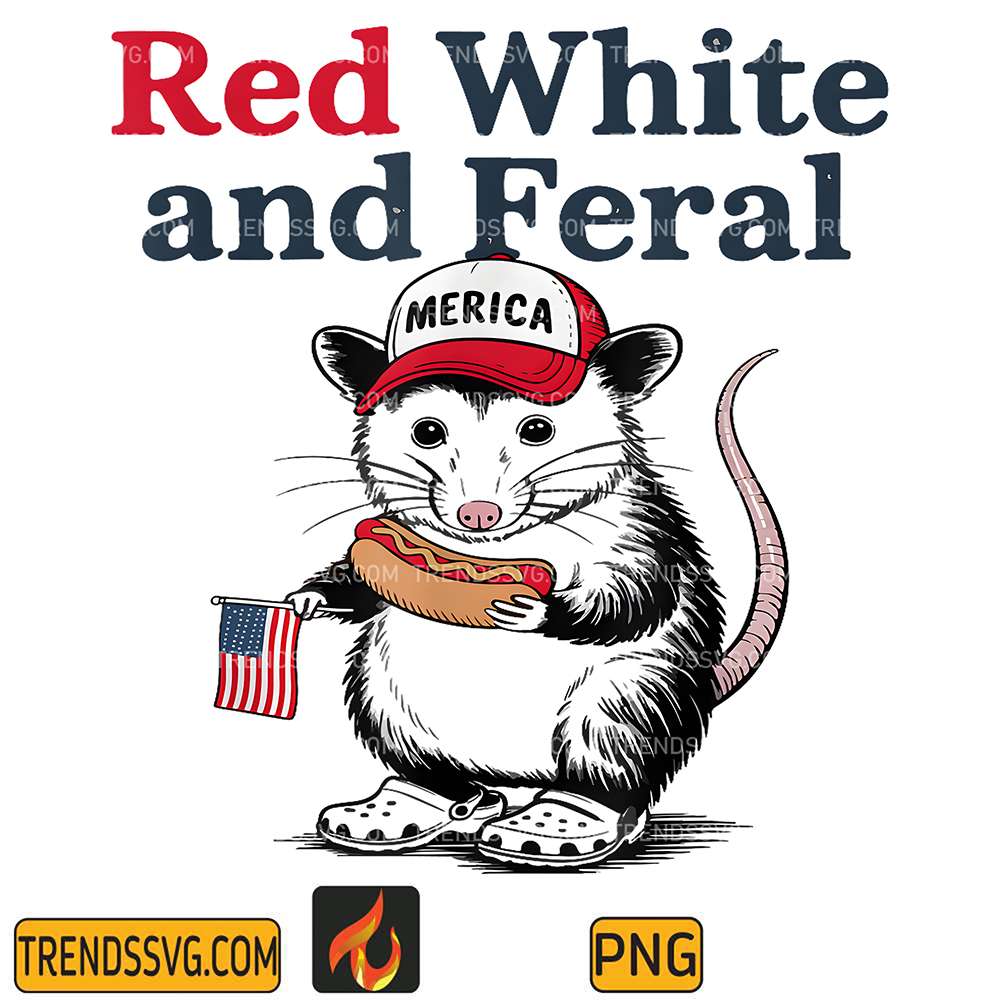 raccoon-4th-of-july-png-2