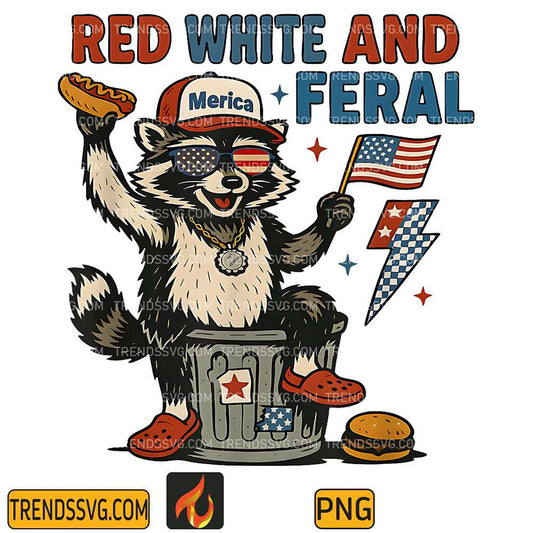 raccoon-4th-of-july-png-3