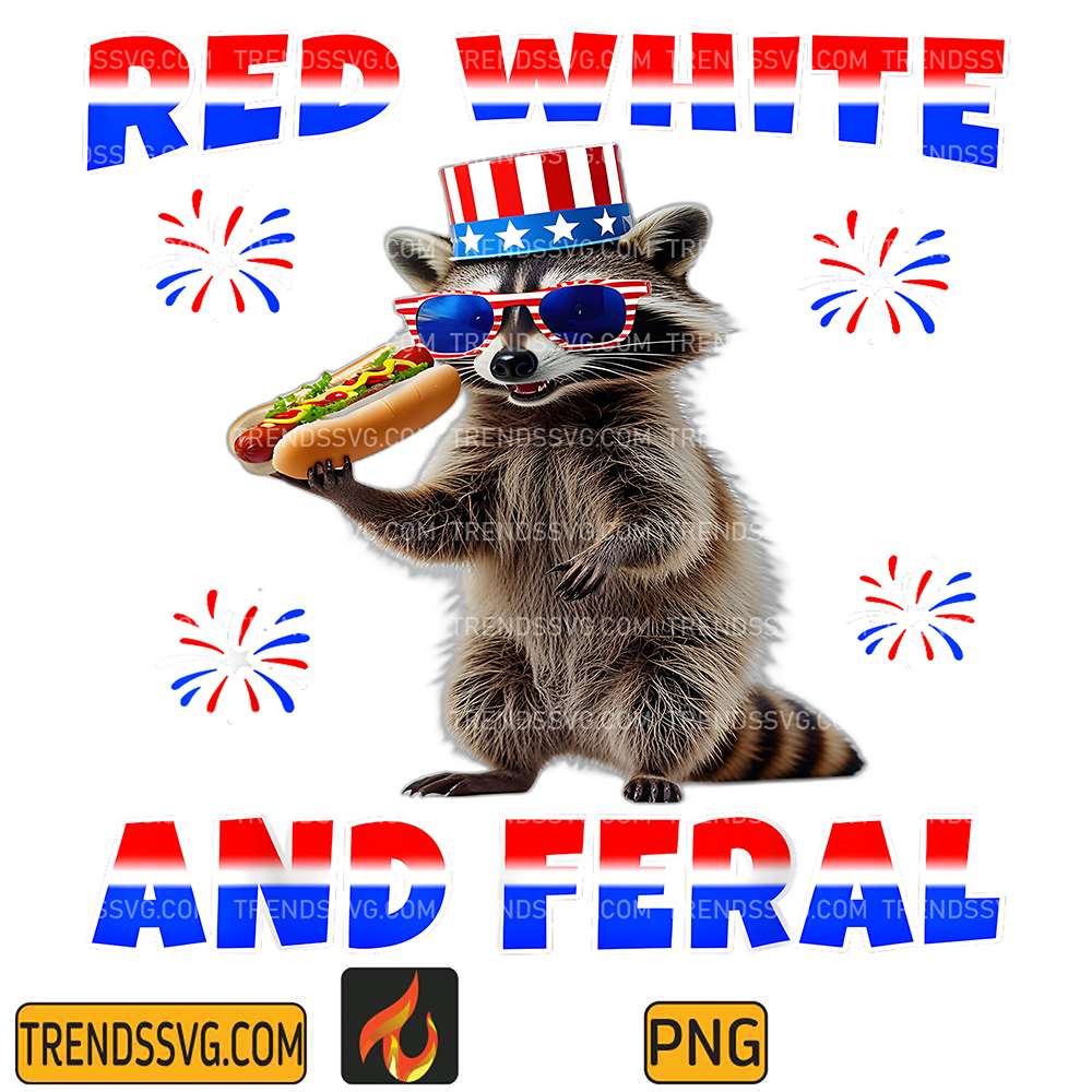raccoon-4th-of-july-png
